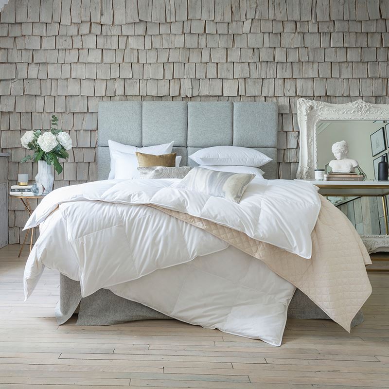 Cotton rich bedding by Catherine Lansfield and other luxury brands
