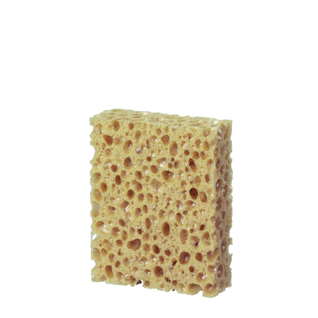 Natural Cleaning Combi Sponge