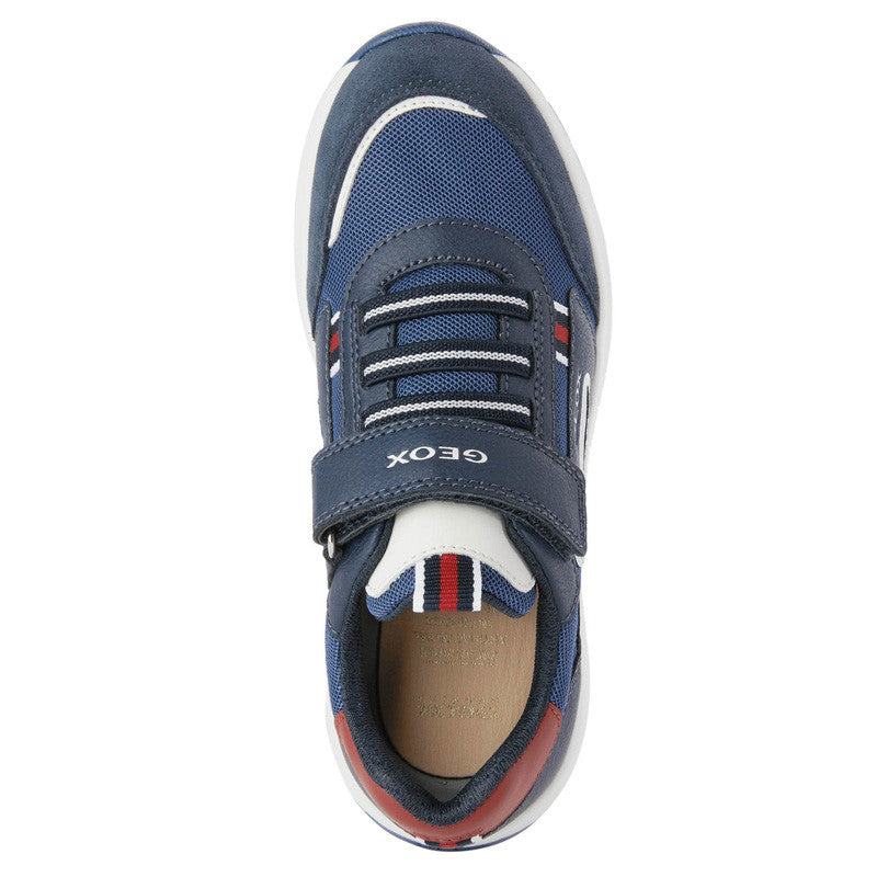 Geox Navy and Red Velcro Trainer