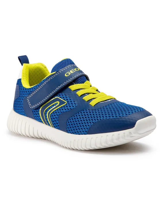 Geox Royal Blue/Lime Trainer