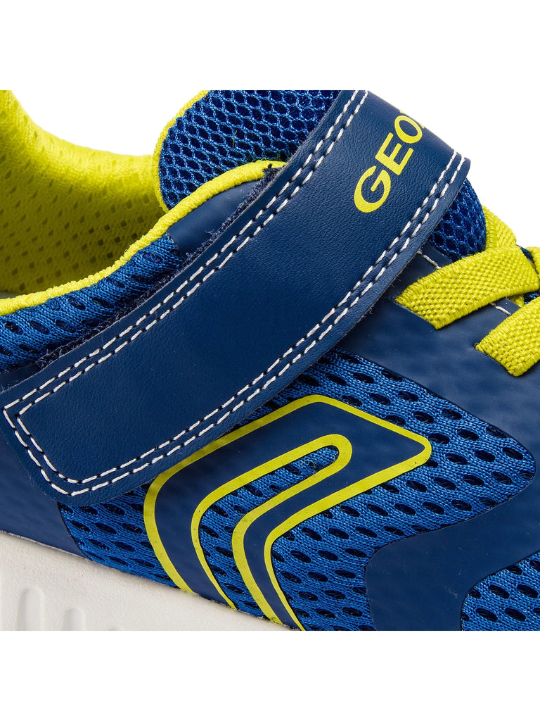 Geox Royal Blue and Lime Trainers