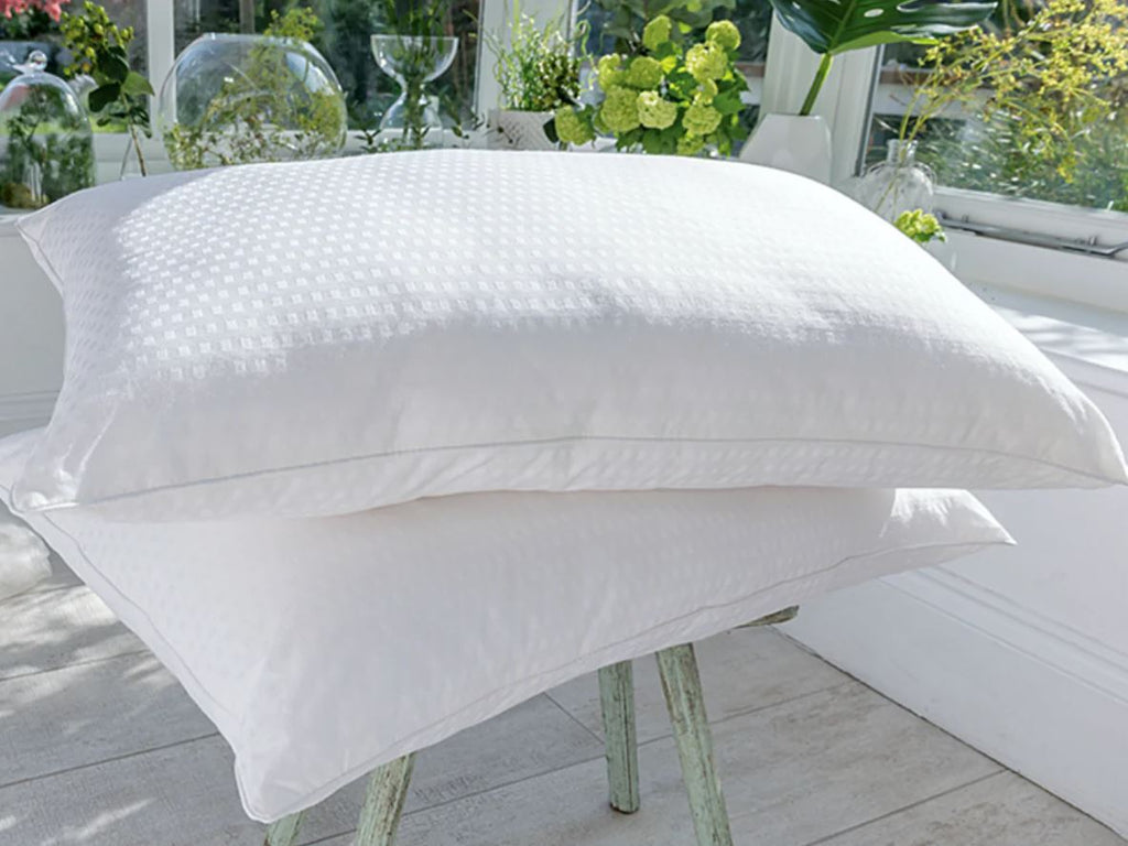 Two white pillows in a bright room with large windows onto a garden.